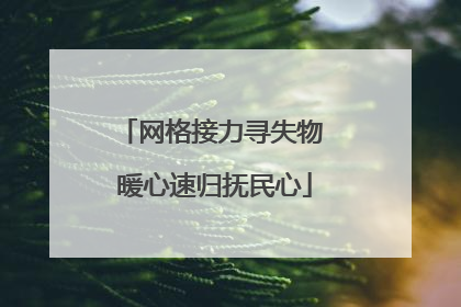 网格接力寻失物 暖心速归抚民心