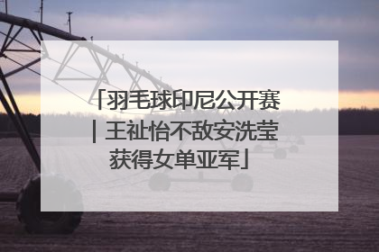 羽毛球印尼公开赛｜王祉怡不敌安洗莹 获得女单亚军