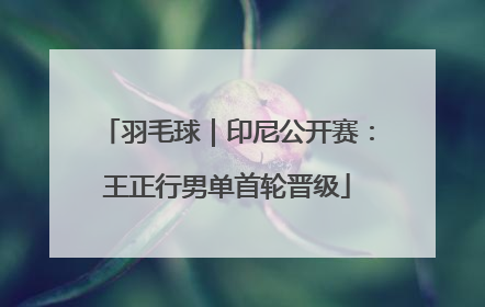 羽毛球｜印尼公开赛：王正行男单首轮晋级