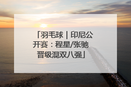 羽毛球｜印尼公开赛：程星/张驰晋级混双八强