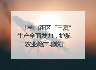 羊山新区“三夏”生产全面发力，护航农业稳产增收