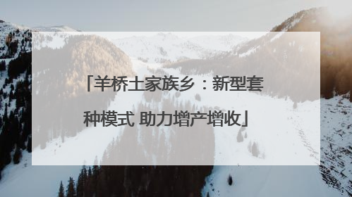 羊桥土家族乡：新型套种模式 助力增产增收