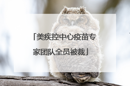 美疾控中心疫苗专家团队全员被裁