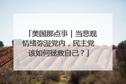 美国那点事｜当悲观情绪弥漫党内，民主党该如何拯救自己？