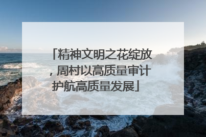 精神文明之花绽放，周村以高质量审计护航高质量发展