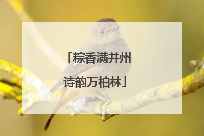 粽香满并州 诗韵万柏林