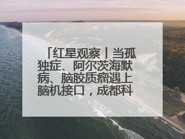 红星观察丨当孤独症、阿尔茨海默病、脑胶质瘤遇上脑机接口，成都科研改变医学图景