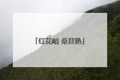 红花峪 桑葚熟