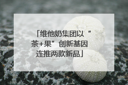 维他奶集团以“茶+果”创新基因连推两款新品