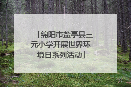 绵阳市盐亭县三元小学开展世界环境日系列活动