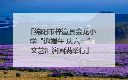绵阳市梓潼县金龙小学“迎端午 庆六一”文艺汇演圆满举行