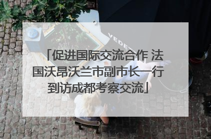 促进国际交流合作 法国沃昂沃兰市副市长一行到访成都考察交流