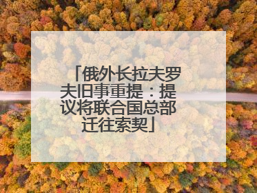 俄外长拉夫罗夫旧事重提：提议将联合国总部迁往索契