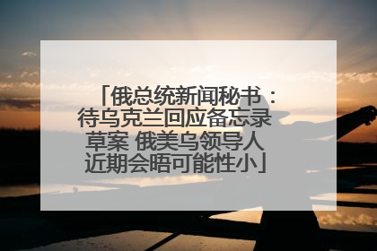俄总统新闻秘书：待乌克兰回应备忘录草案 俄美乌领导人近期会晤可能性小