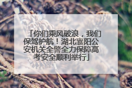 你们乘风破浪，我们保驾护航！湖北襄阳公安机关全警全力保障高考安全顺利举行