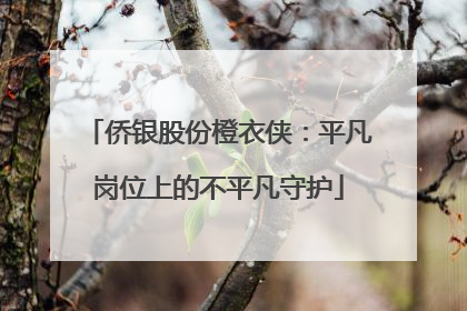 侨银股份橙衣侠：平凡岗位上的不平凡守护
