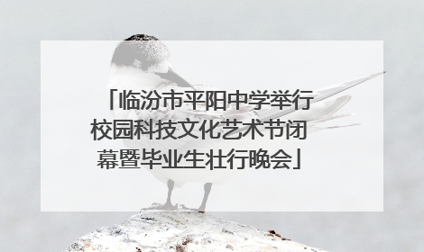 临汾市平阳中学举行校园科技文化艺术节闭幕暨毕业生壮行晚会