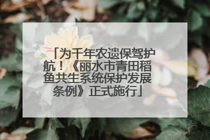 为千年农遗保驾护航！《丽水市青田稻鱼共生系统保护发展条例》正式施行