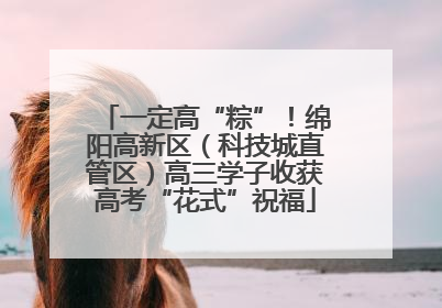 一定高“粽”！绵阳高新区（科技城直管区）高三学子收获高考“花式”祝福