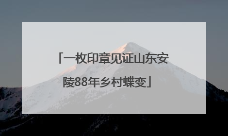 一枚印章见证山东安陵88年乡村蝶变