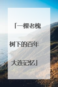 一棵老槐树下的百年大连记忆