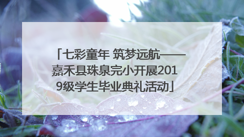 七彩童年 筑梦远航——嘉禾县珠泉完小开展2019级学生毕业典礼活动
