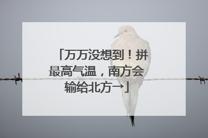 万万没想到！拼最高气温，南方会输给北方→