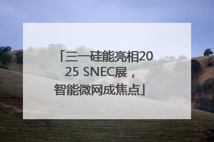 三一硅能亮相2025 SNEC展，智能微网成焦点