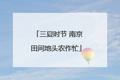 三夏时节 南京田间地头农作忙