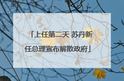 上任第二天 苏丹新任总理宣布解散政府