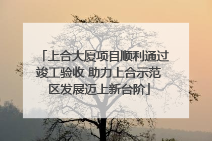 上合大厦项目顺利通过竣工验收 助力上合示范区发展迈上新台阶
