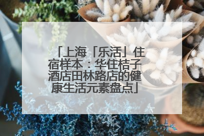 上海「乐活」住宿样本：华住桔子酒店田林路店的健康生活元素盘点