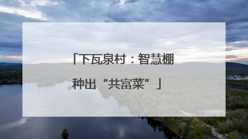 下瓦泉村：智慧棚种出“共富菜”