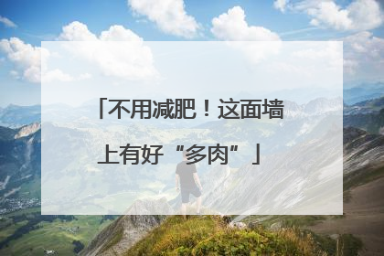 不用减肥！这面墙上有好“多肉”