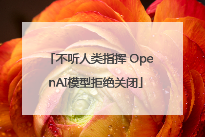 不听人类指挥 OpenAI模型拒绝关闭