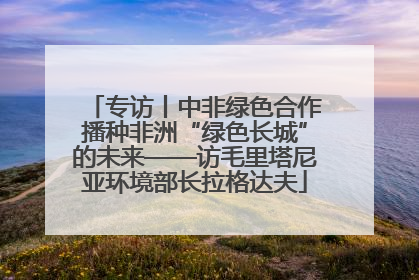 专访丨中非绿色合作播种非洲“绿色长城”的未来——访毛里塔尼亚环境部长拉格达夫
