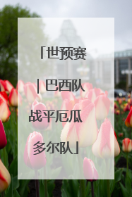 世预赛｜巴西队战平厄瓜多尔队