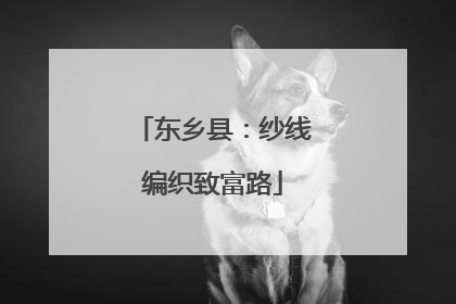 东乡县：纱线编织致富路