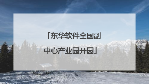 东华软件全国副中心产业园开园