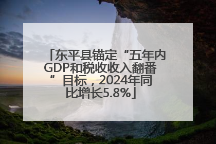 东平县锚定“五年内GDP和税收收入翻番”目标，2024年同比增长5.8%