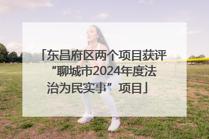 东昌府区两个项目获评“聊城市2024年度法治为民实事”项目
