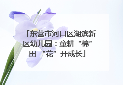 东营市河口区湖滨新区幼儿园：童耕“棉”田 “花”开成长