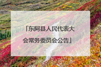 东阿县人民代表大会常务委员会公告