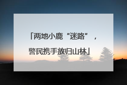 两地小鹿“迷路”，警民携手放归山林
