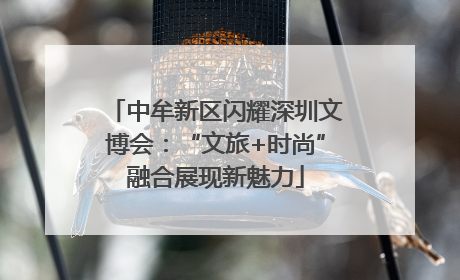 中牟新区闪耀深圳文博会：“文旅+时尚”融合展现新魅力