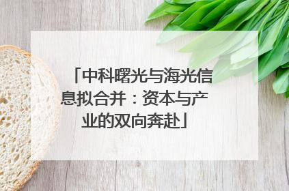 中科曙光与海光信息拟合并：资本与产业的双向奔赴