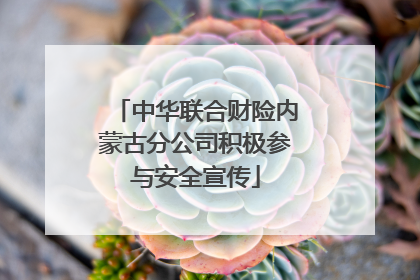 中华联合财险内蒙古分公司积极参与安全宣传