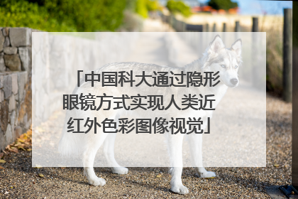 中国科大通过隐形眼镜方式实现人类近红外色彩图像视觉