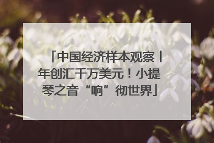 中国经济样本观察丨年创汇千万美元！小提琴之音“响”彻世界