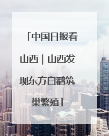 中国日报看山西｜山西发现东方白鹳筑巢繁殖